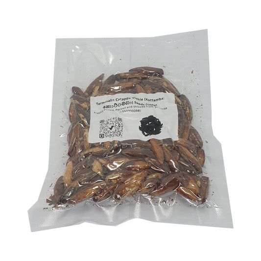 Terminalia Catappa Canlı (Kottamba) Tohumları