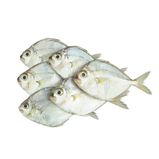 Lakpura Kurutulmuş Midilli Balığı (200g)