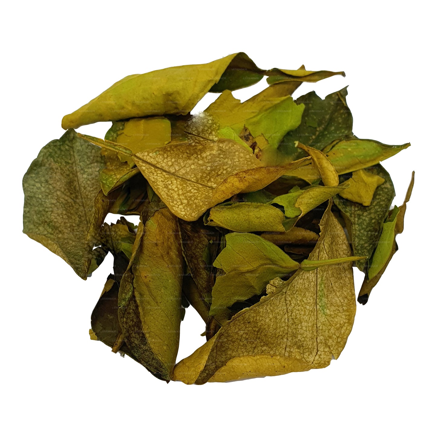 Lakpura Kurutulmuş Yaki Naran (Atalantia Ceylanica) Yaprakları (100g)