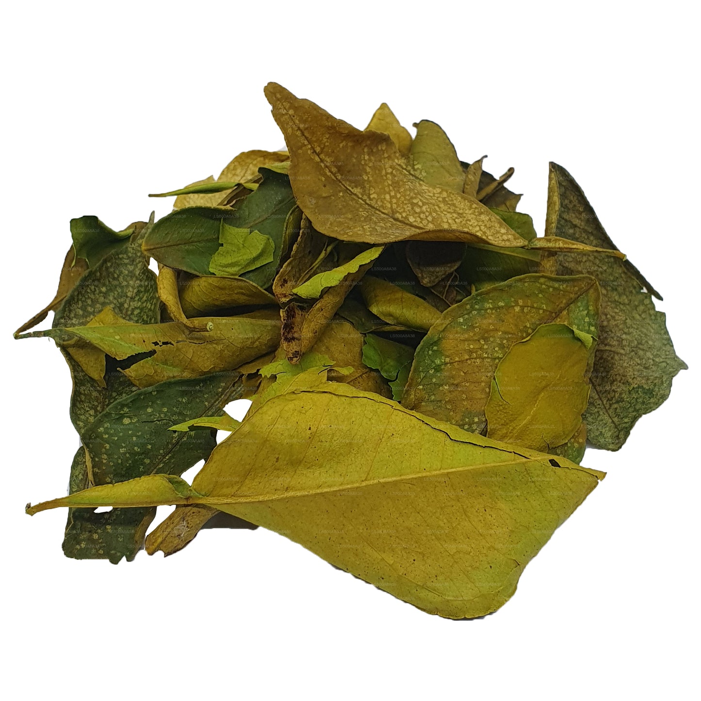 Lakpura Kurutulmuş Yaki Naran (Atalantia Ceylanica) Yaprakları (100g)