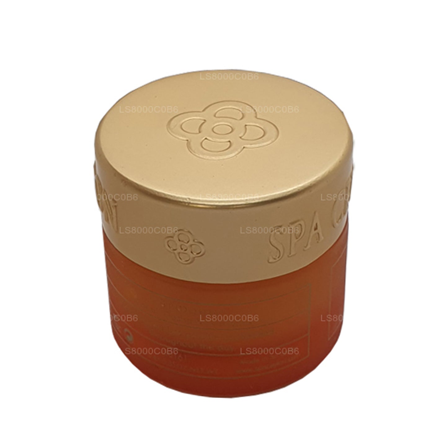 Spa Seylan Seylan Kireç ve Avokado Dudak Balsamı (10g)