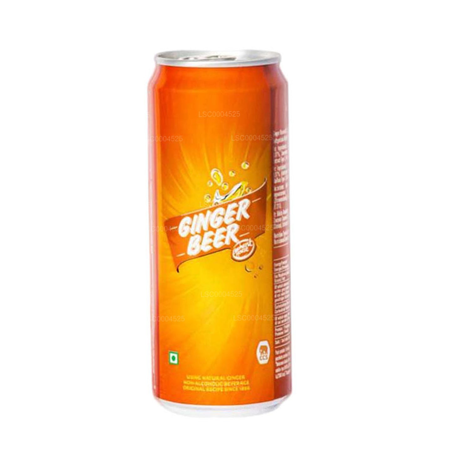 Fil Evi Zencefilli Bira Kutusu (330ml)