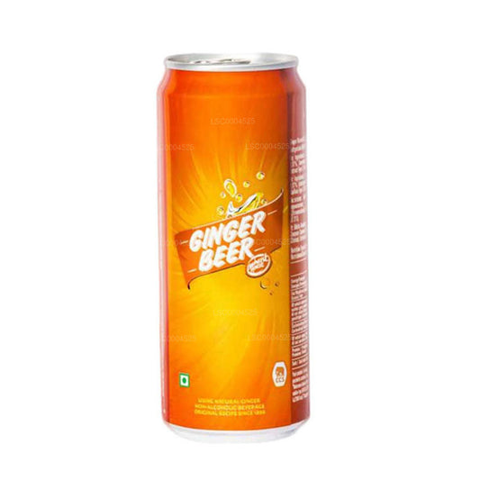 Fil Evi Zencefilli Bira Kutusu (330ml)