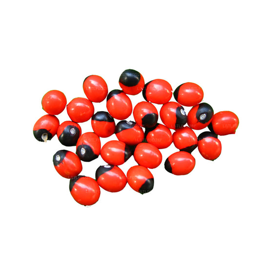 Lakpura Olinda (Moroccan Abrus) 100 Tohumlar