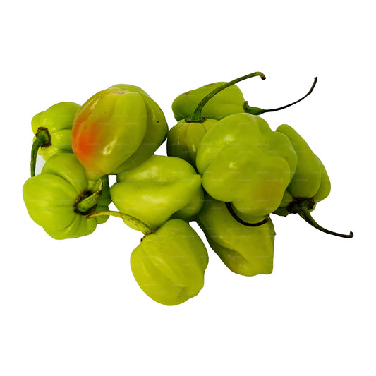 Taze Nai Miris () 100g