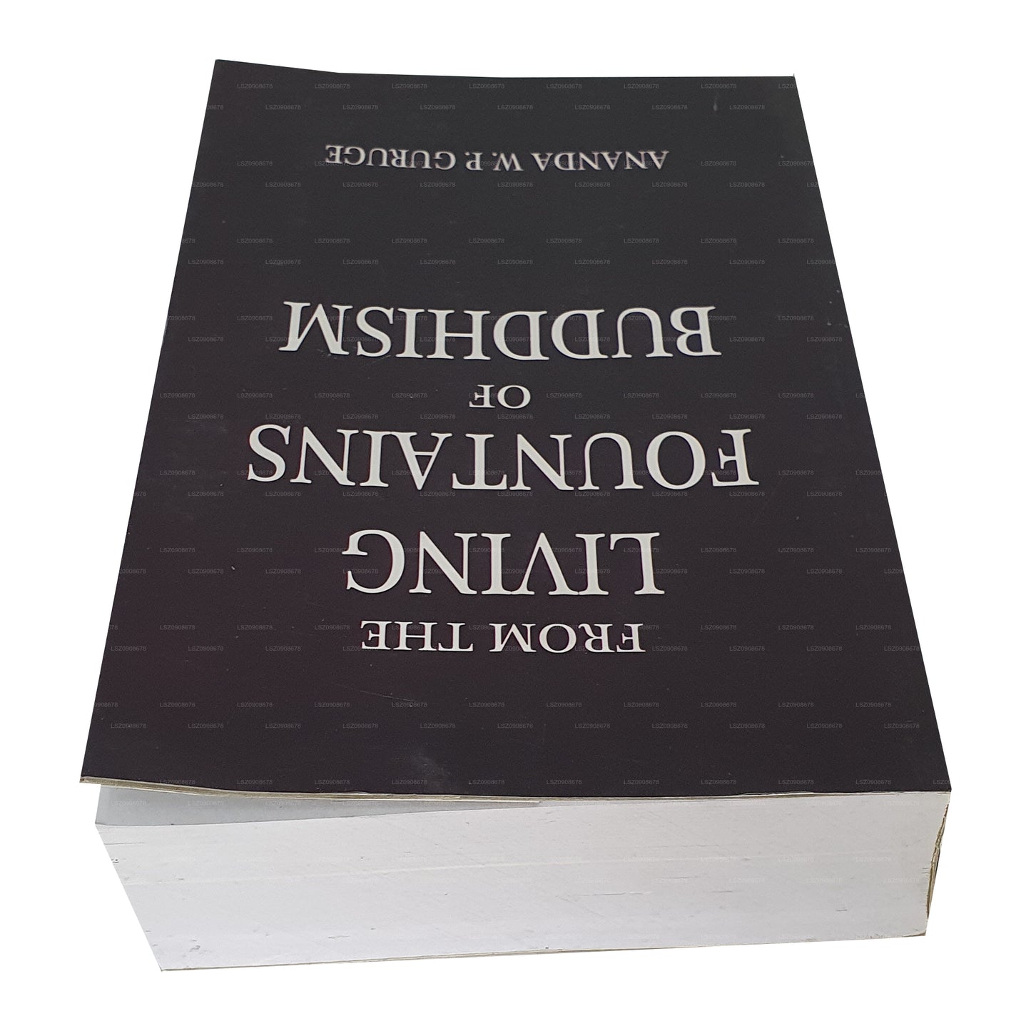 Budizm'in Yaşayan Çeşmelerinden