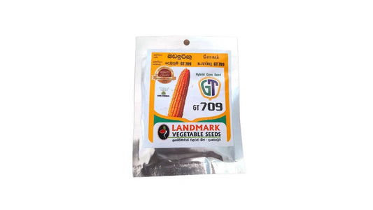 Lakpura GT709 Corn Seeds