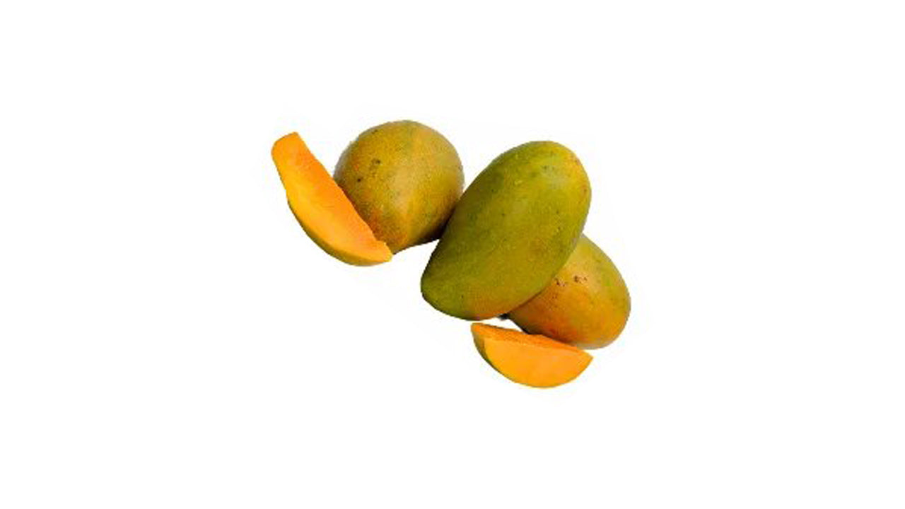 Lakpura Karthakolomban Mango Plant