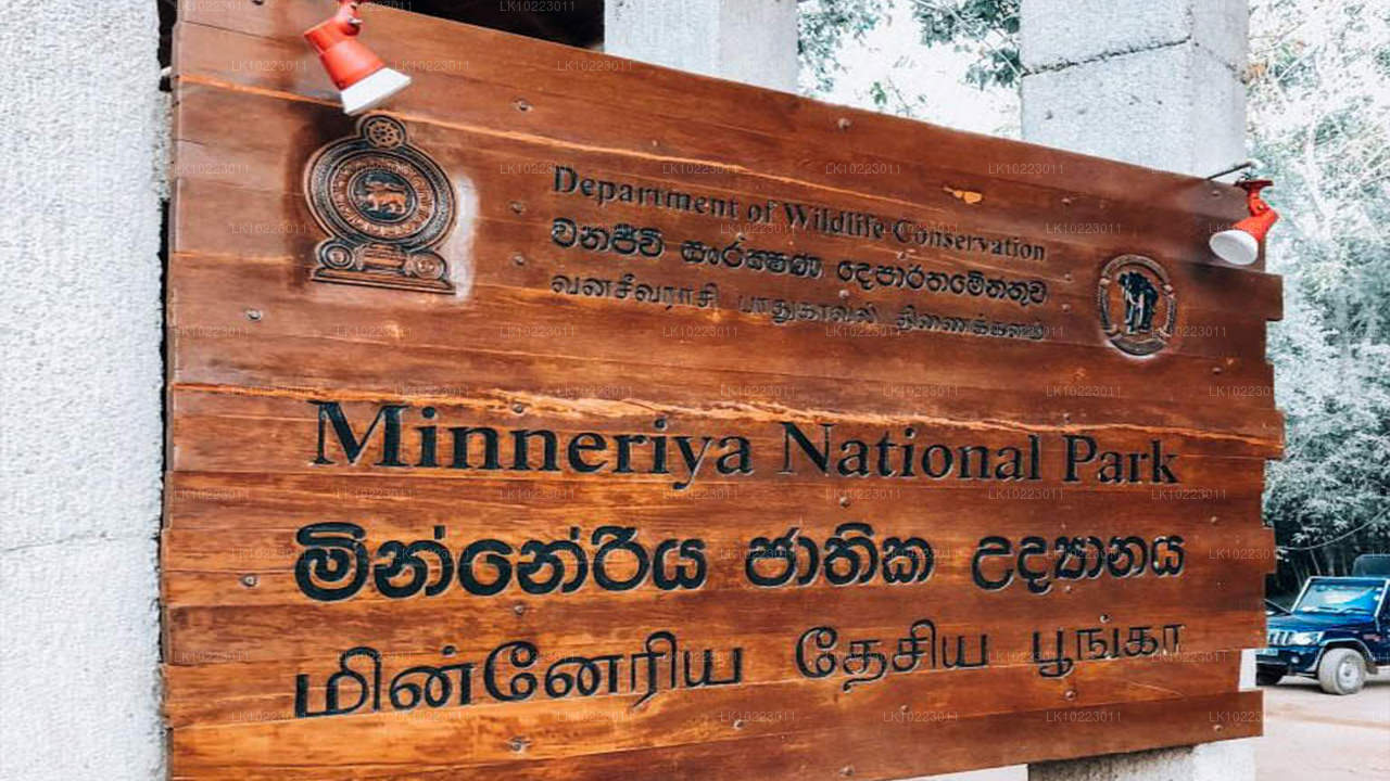 Negombo'dan Sigirya ve Minneriya (2 Gün)