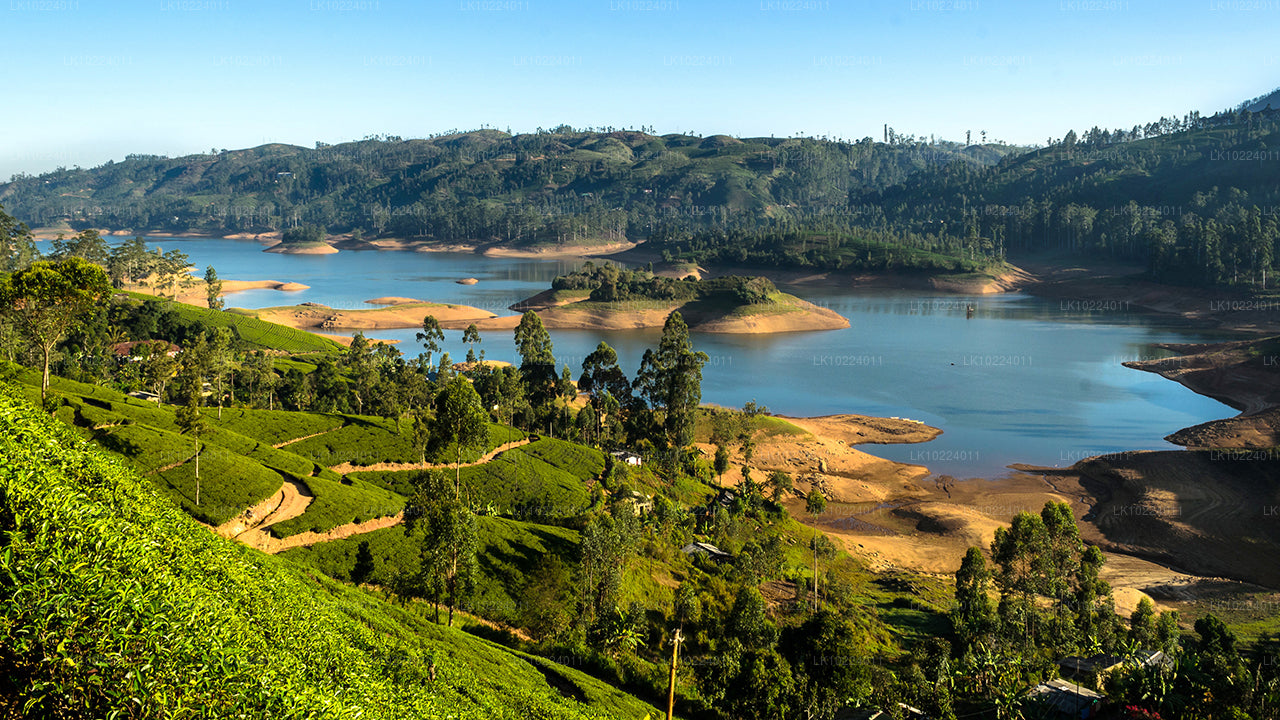 Negombo'dan Nuwara Eliya (2 Gün)
