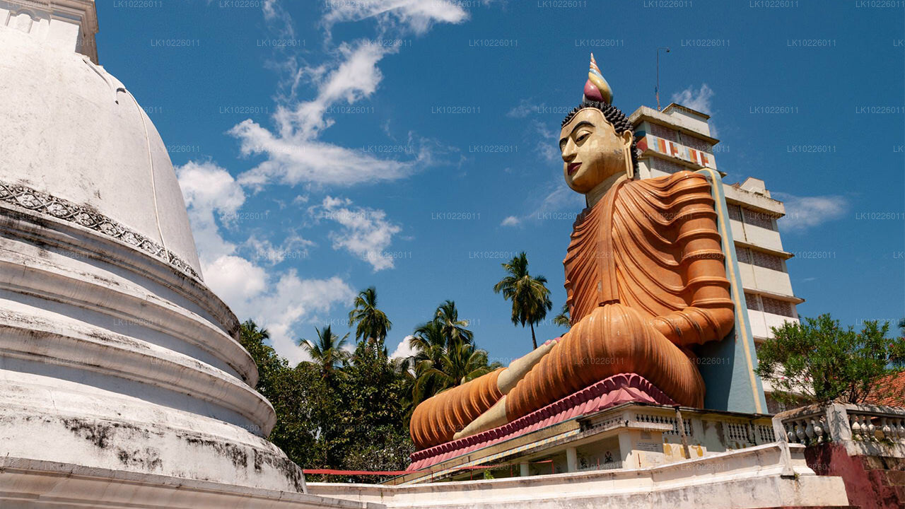 Negombo'dan Tapınaklar ve Vahşi (2 Gün)