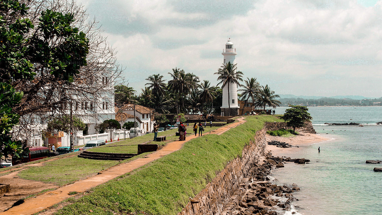 Colombo'dan Lanka Çevresi (4 Gün)