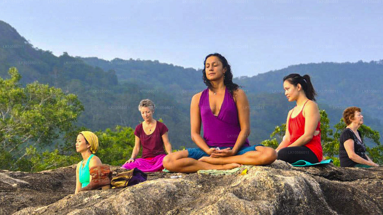 Meditasyon ve Yoga Turu (5 Gün)