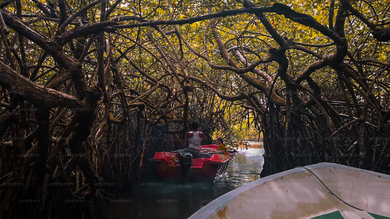 Güney'in Golden Coast (7 Gün)