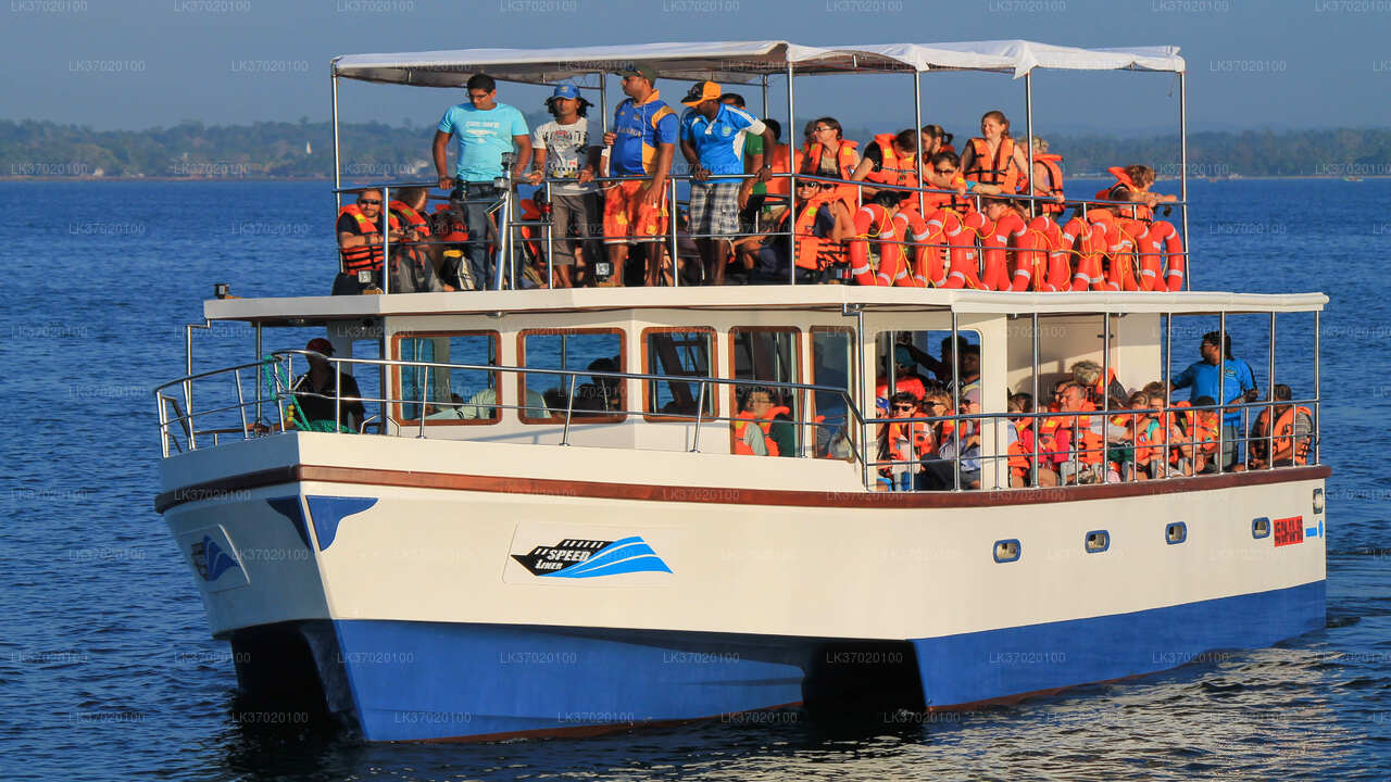 Ahungalla'dan Balina İzleme Tekne Turu
