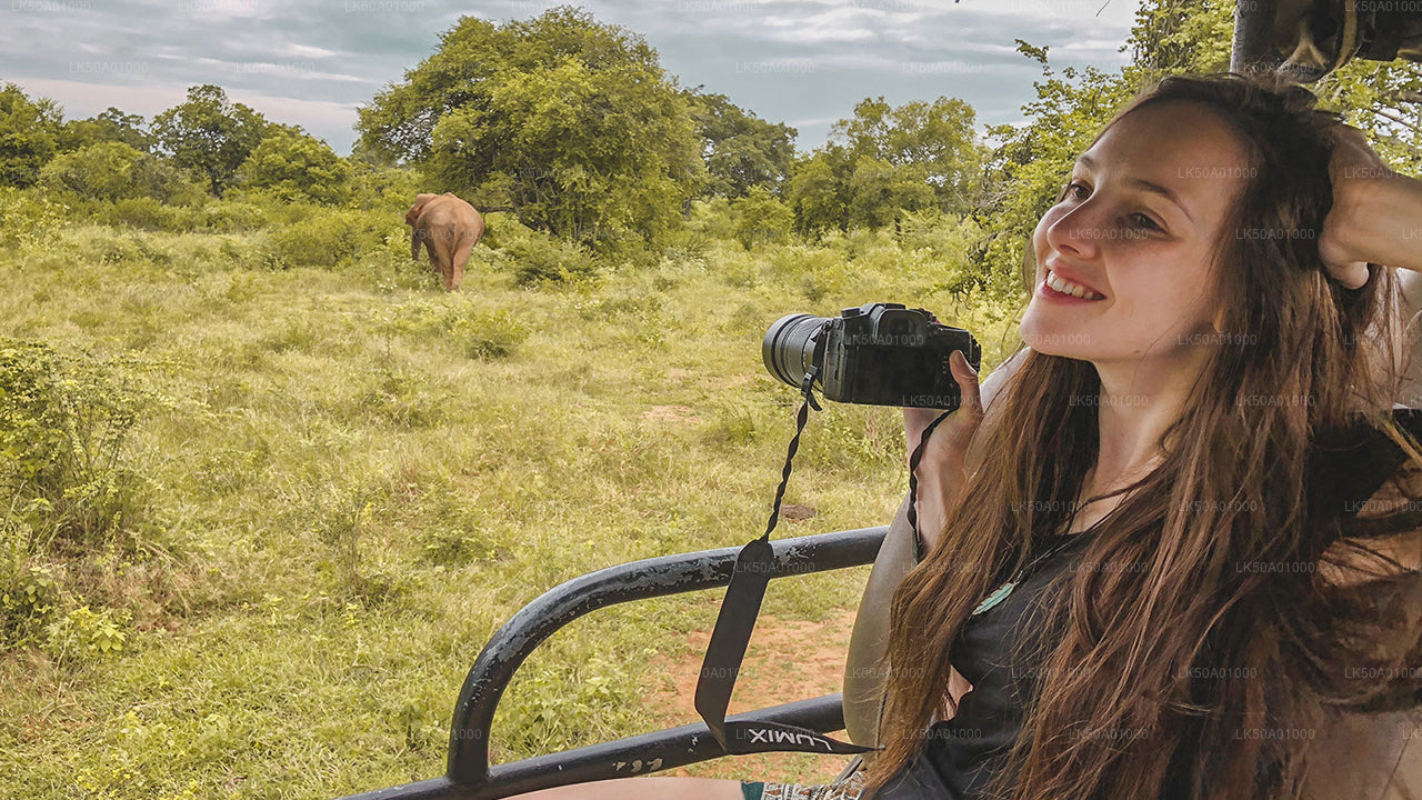 Udawalawe Milli Parkı Özel Safari