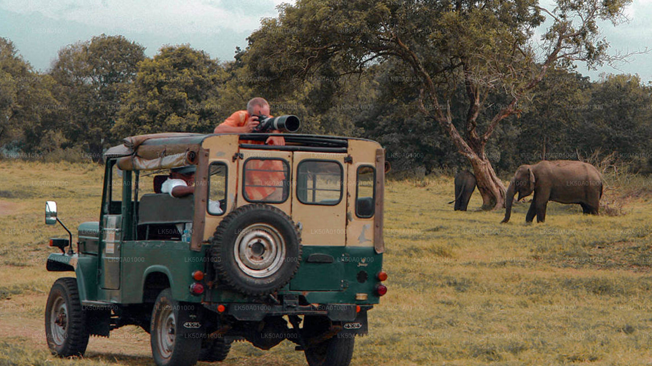 Udawalawe Milli Parkı Özel Safari