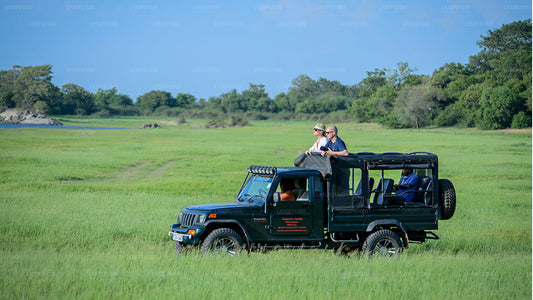Wilpattu Milli Parkı Özel Safari