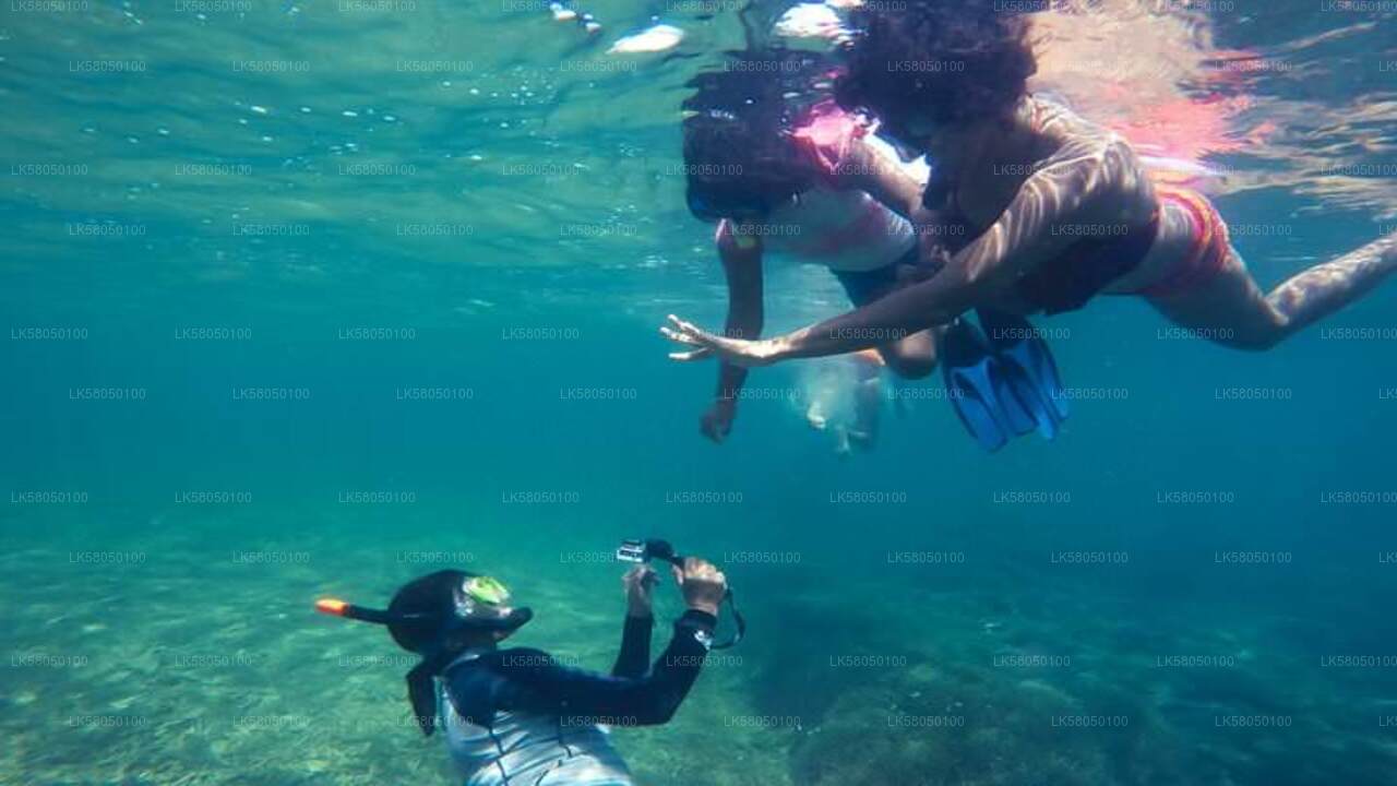 Negombo'dan şnorkelle yüzme