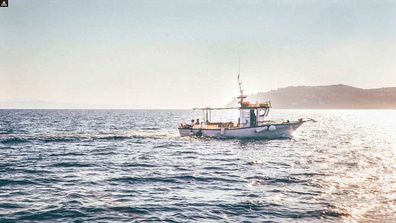 Hikkaduwa'dan Derin Deniz Balıkçı Teknesi Turu