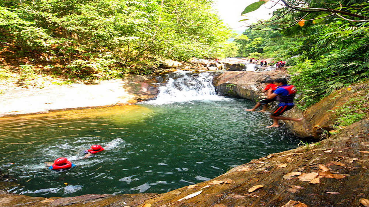 Kitulgala'dan İleri Kanyon Geçişi
