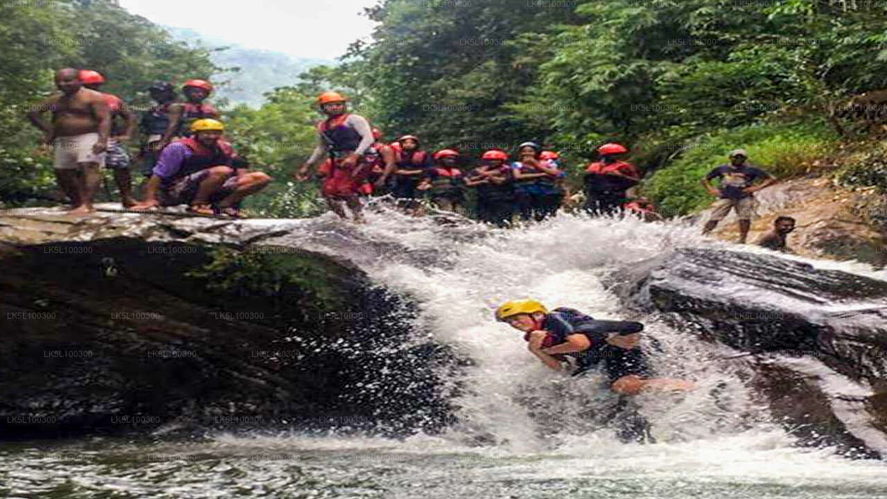 Kitulgala'dan İleri Kanyon Geçişi