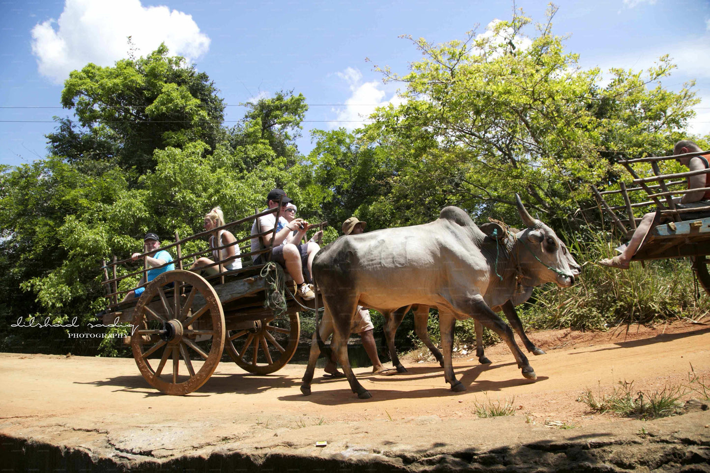 Colombo'dan Sigiriya Kaya ve Köy Turu