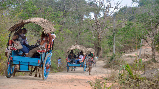 Kandy'den Köy Yaşamı Turu