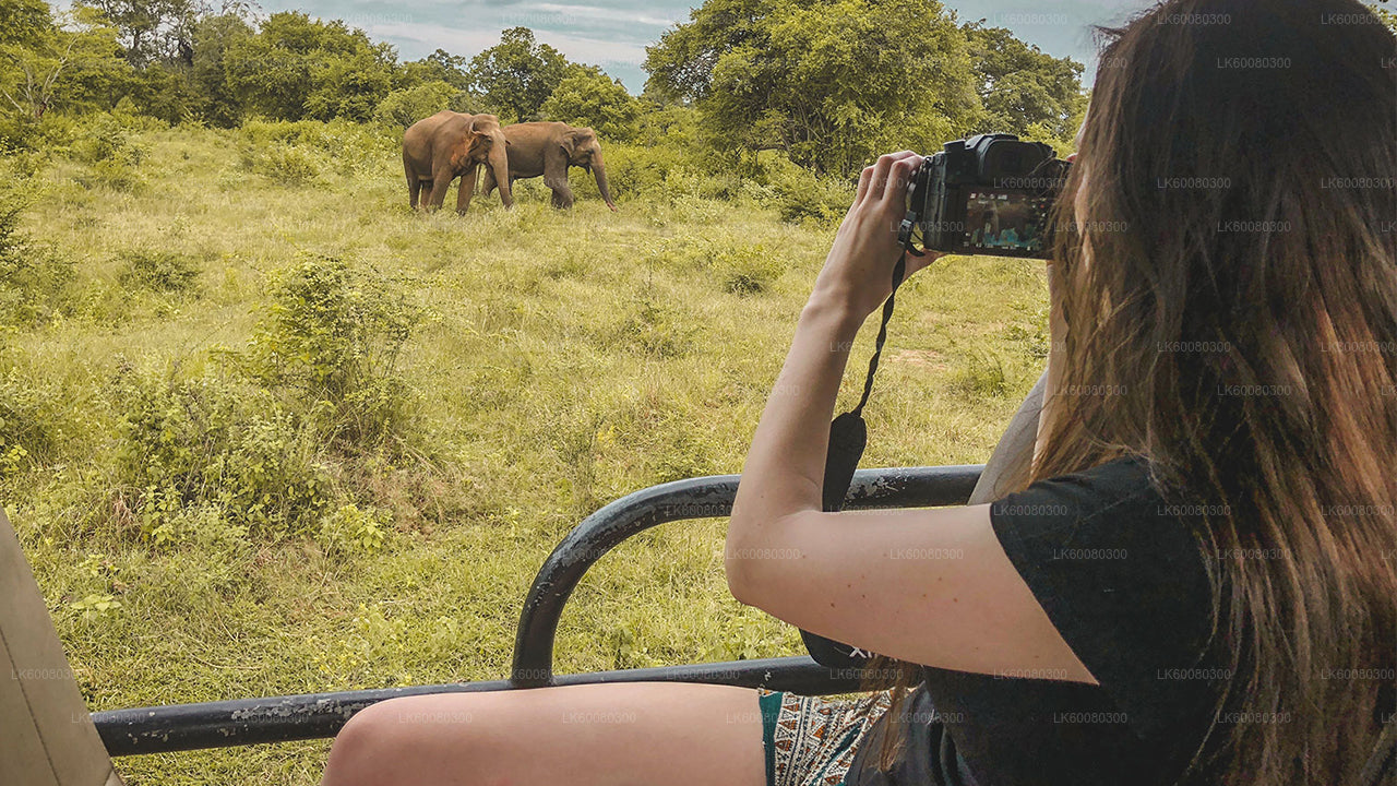 Mirissa'dan Udawalawe Milli Parkı Safari