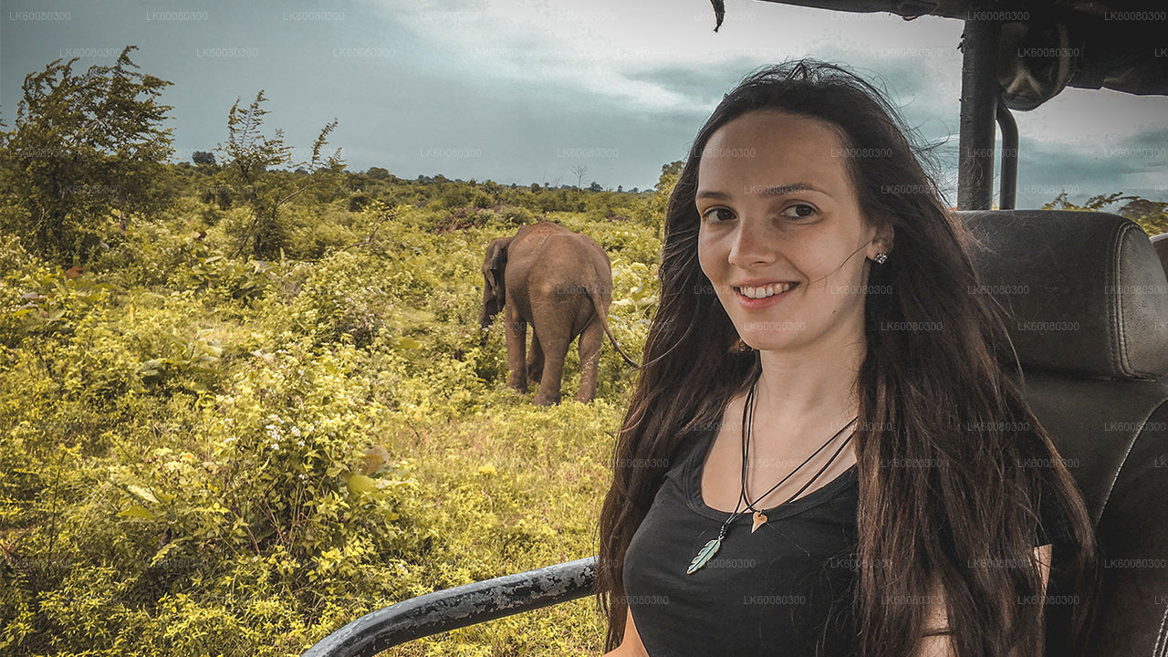 Mirissa'dan Udawalawe Milli Parkı Safari