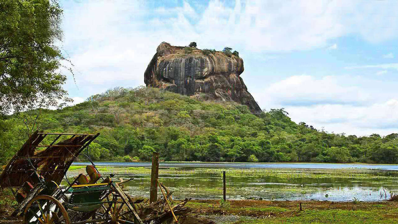 Colombo'dan Sigiriya ve Dambulla