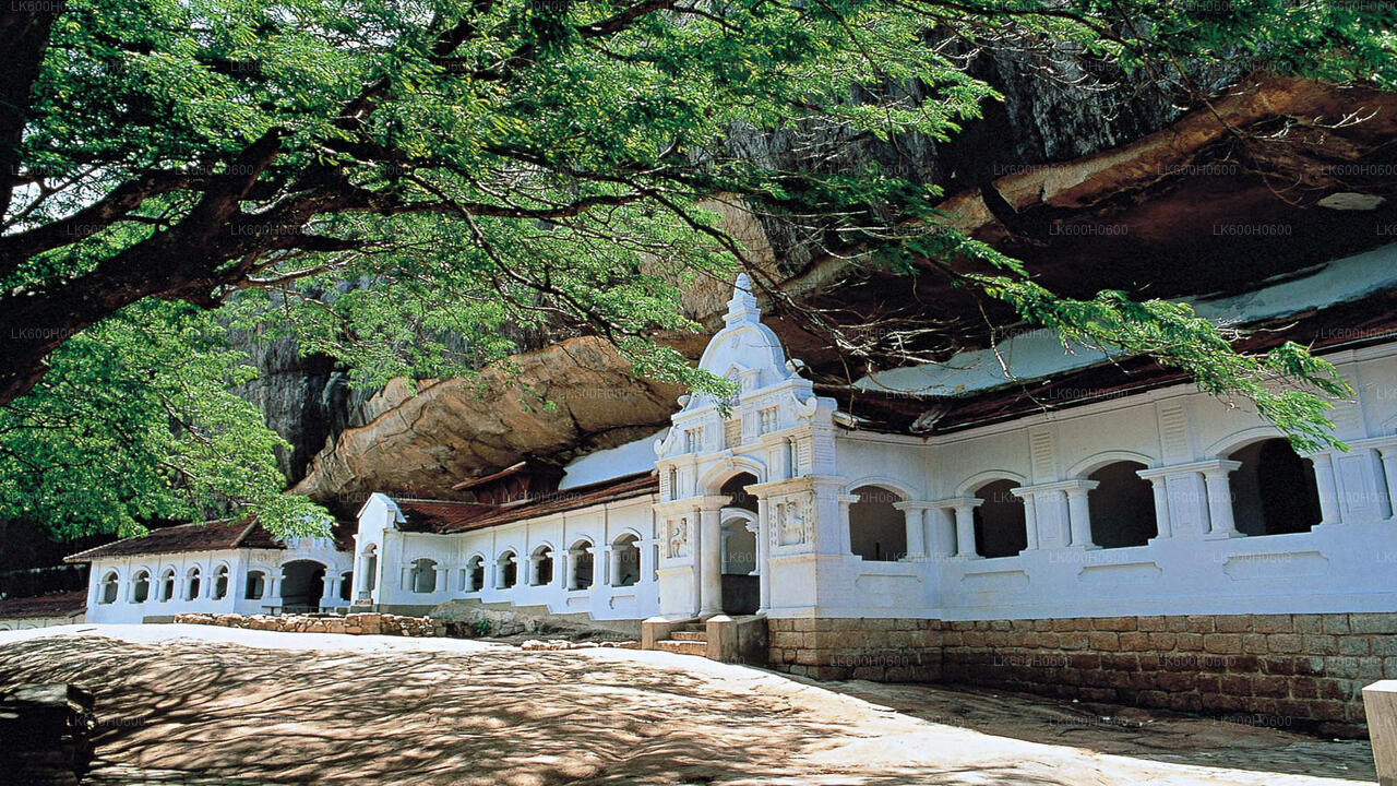 Colombo'dan Sigiriya ve Dambulla