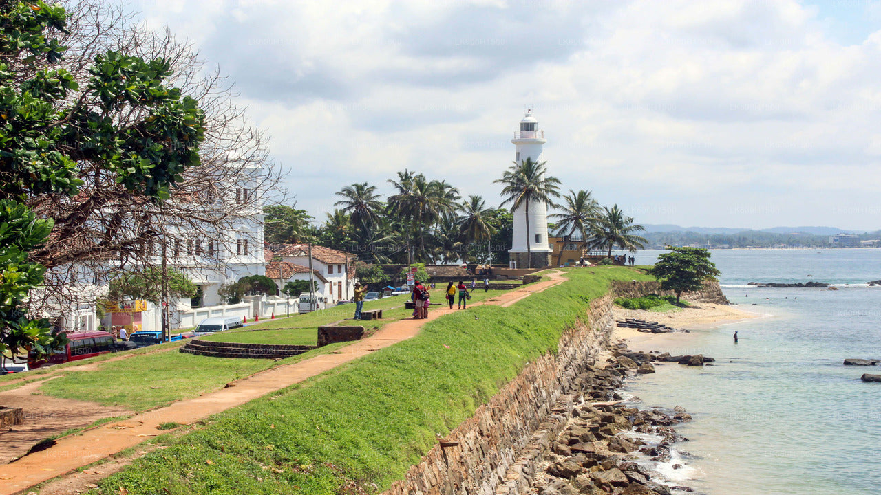 Colombo'dan Virgin Beyaz Çay Fabrikası ve Galle Kalesi