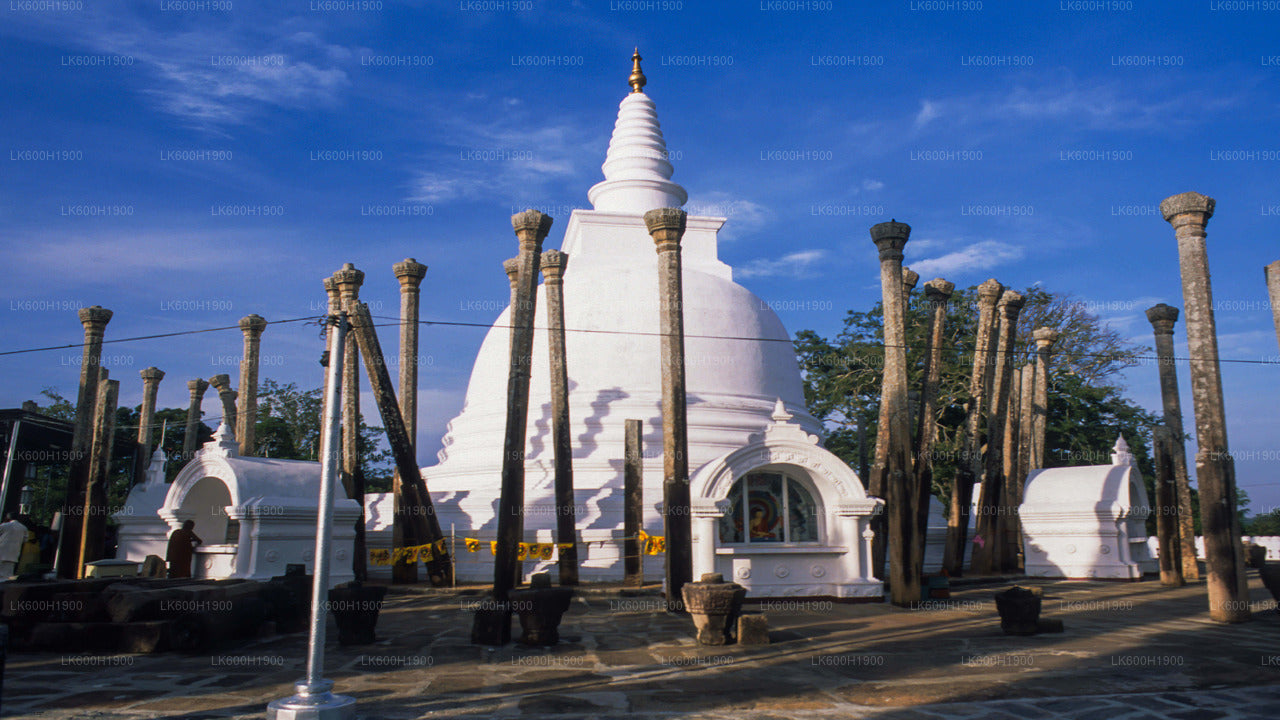 Colombo'dan Anuradhapura Kutsal Şehri