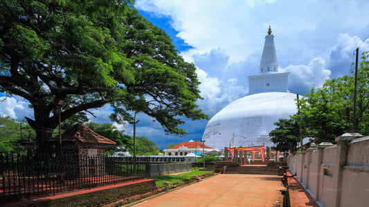 Dambulla'dan Kutsal Anuradhapura Şehri