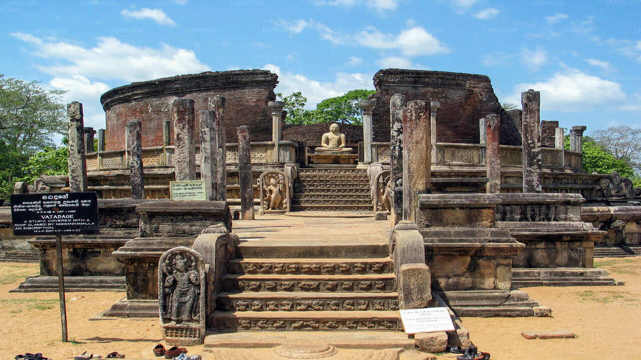 Dambulla'dan Polonnaruwa Antik Krallık ve Vahşi Fil Safari