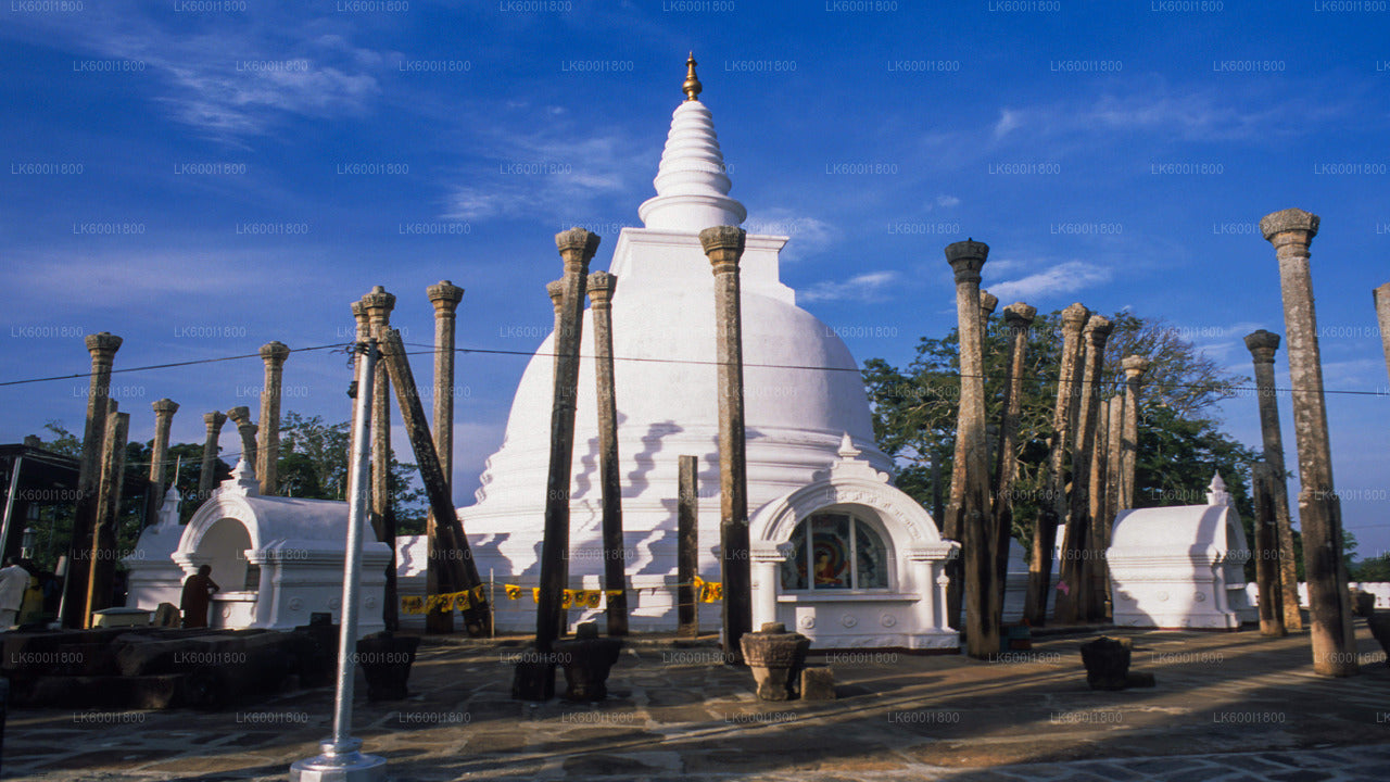 Dambulla'dan Anuradhapura Budist Simgeler Turu