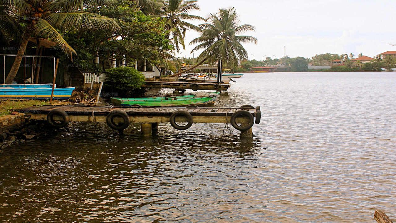 Ancient Dutch Fort Tour and River Safari from Galle