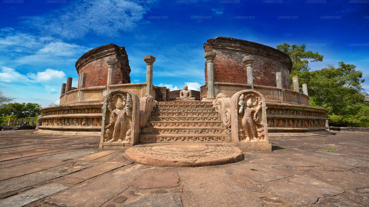 Habarana'dan Polonnaruwa Antik Krallık ve Vahşi Fil Safari