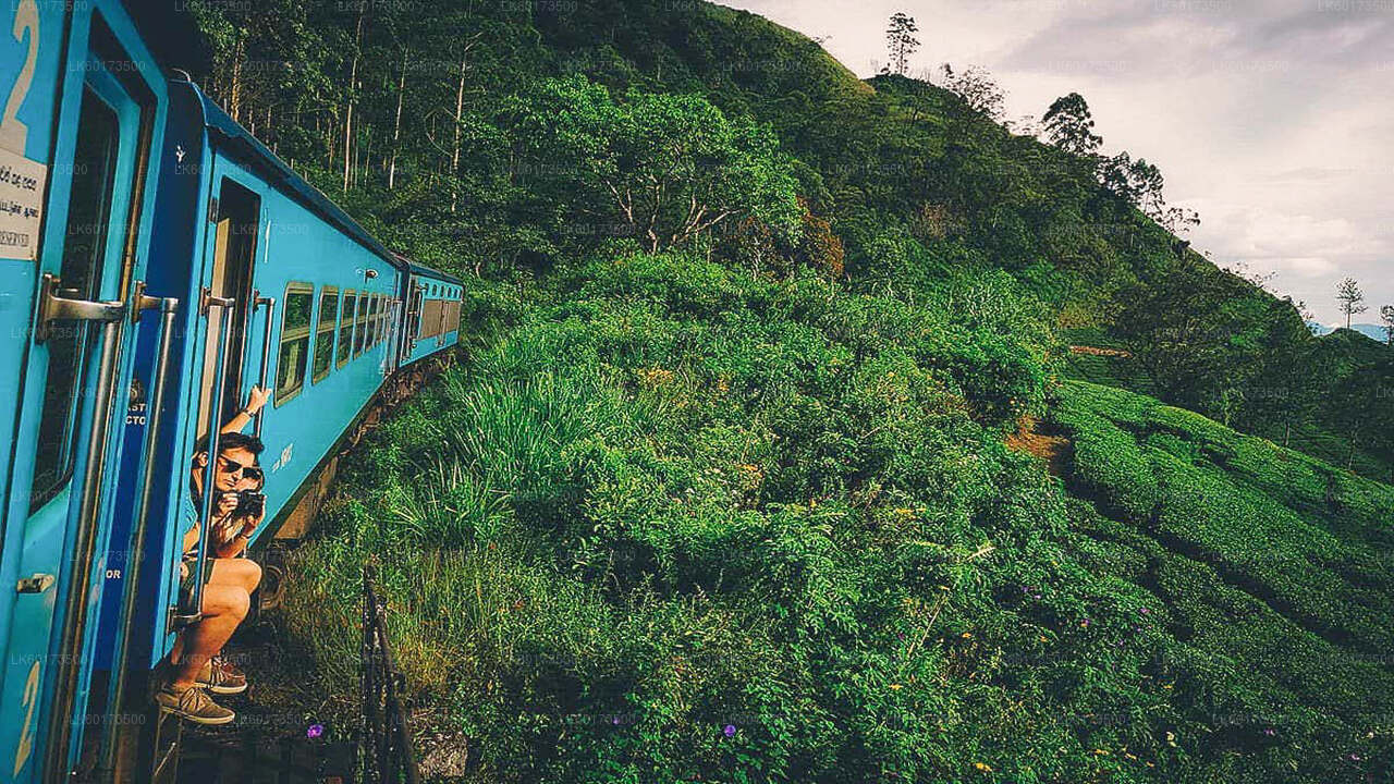 Kandy'den Ella'ya Doğal Tren Yolculuğu