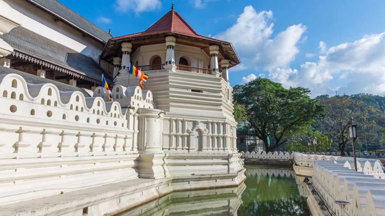 Colombo"dan Pinnawala ve Kandy Turu