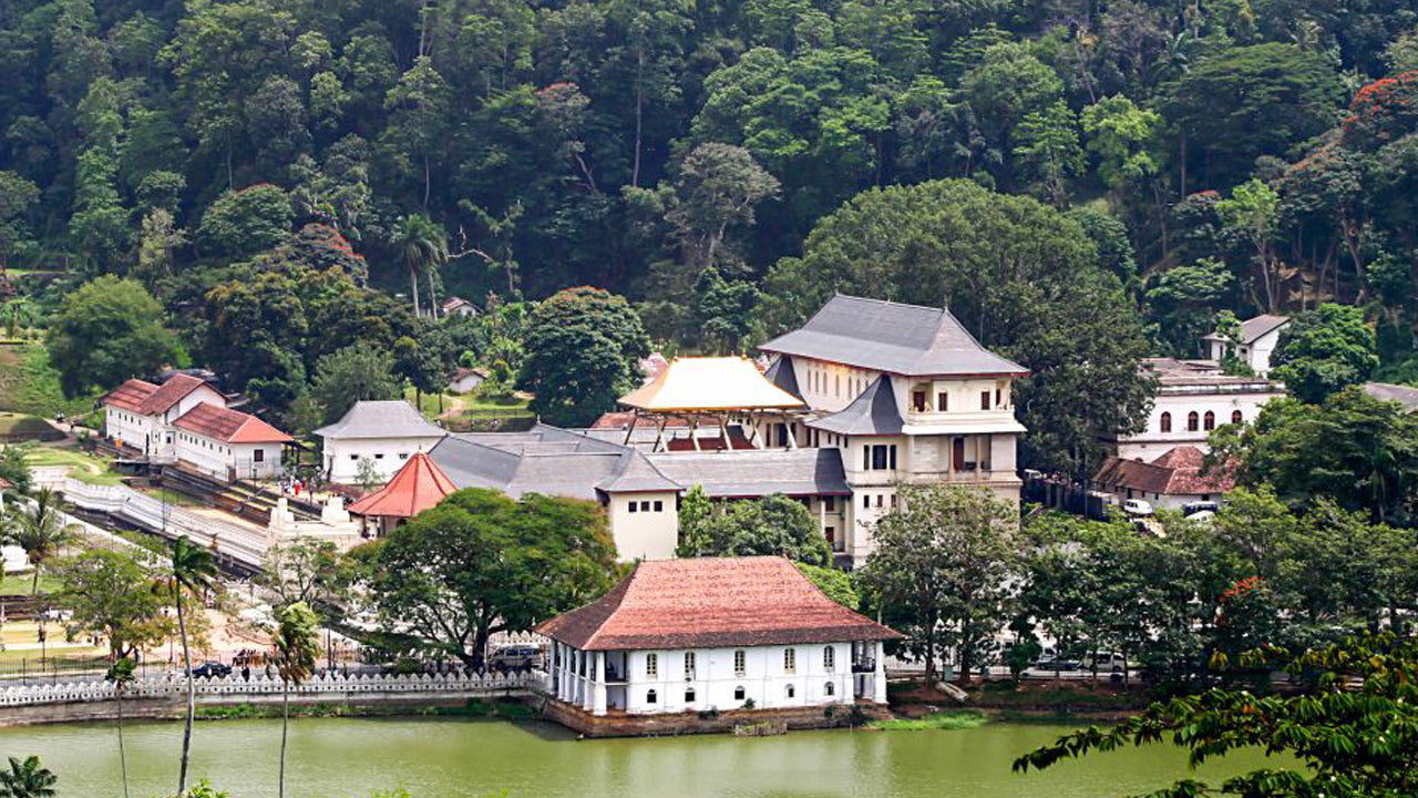 Colombo"dan Pinnawala ve Kandy Turu