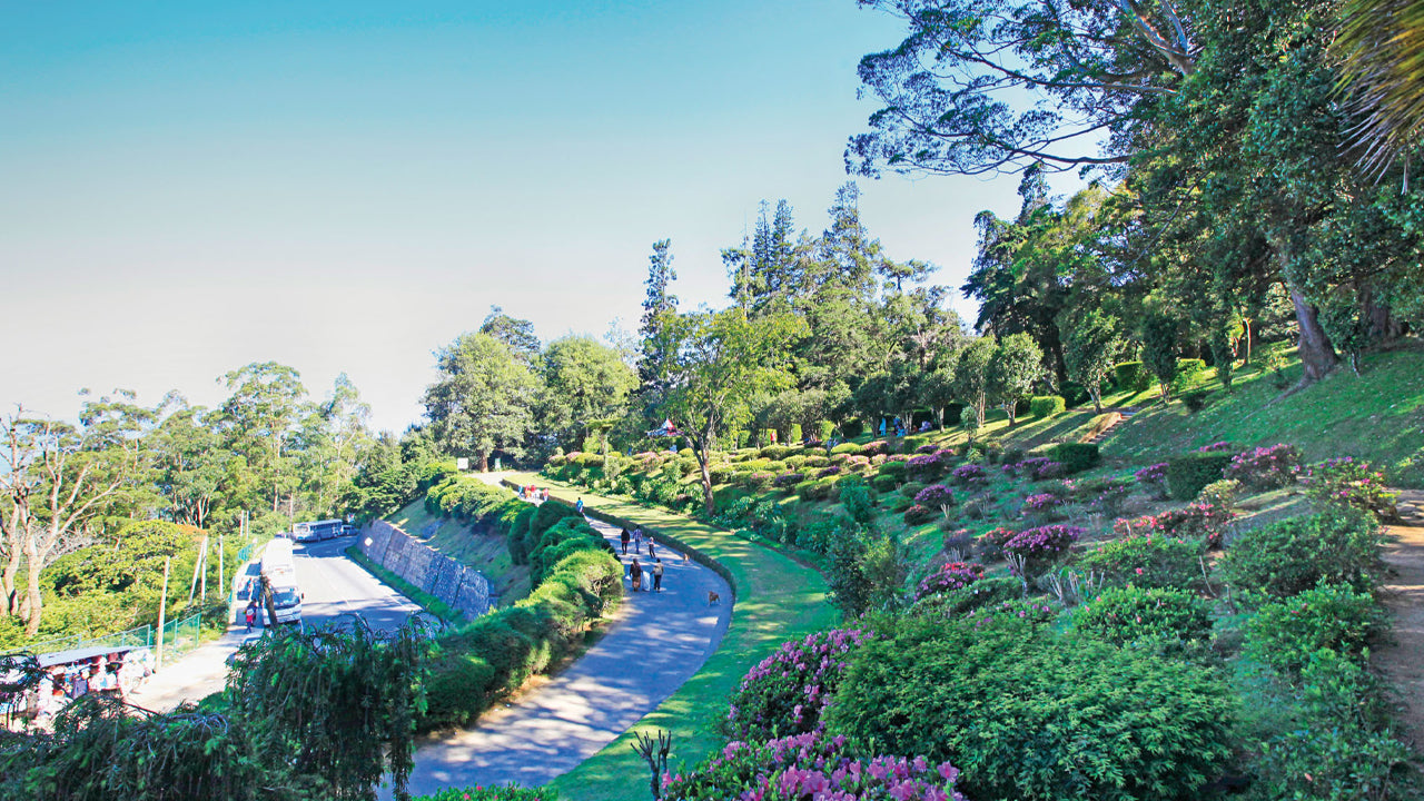 Colombo"dan Pinnawala ve Kandy Turu