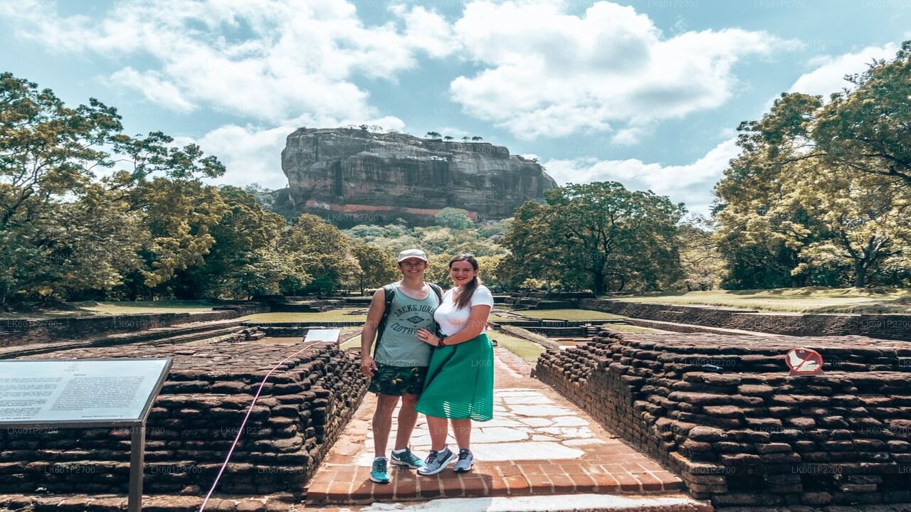 Negombo'dan Sigiriya Kaya ve Vahşi Fil Safari