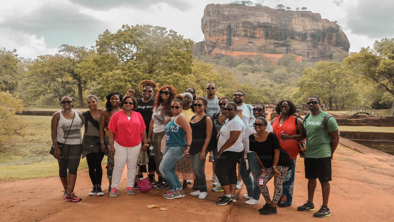 Negombo'dan Sigiriya Kaya ve Vahşi Fil Safari