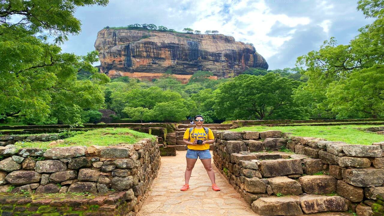 Negombo'dan Sigiriya Kaya ve Vahşi Fil Safari