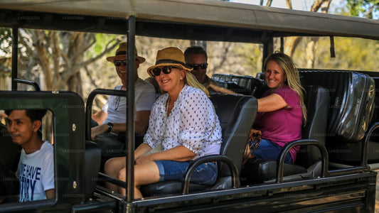 Weligama'dan Yala Milli Parkı Safari