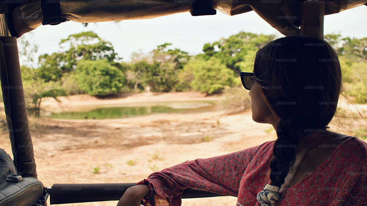 Tangalle'den Yala Milli Parkı Safari