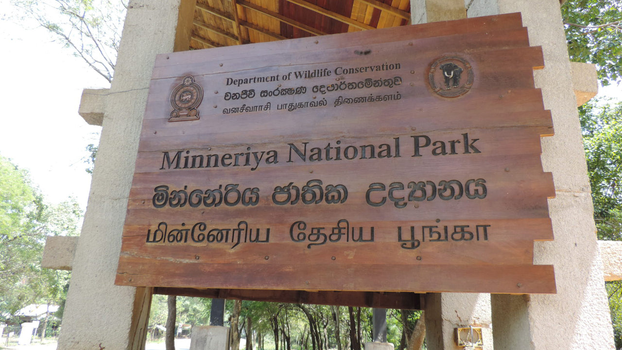 Minneriya Milli Parkı Giriş Bileti
