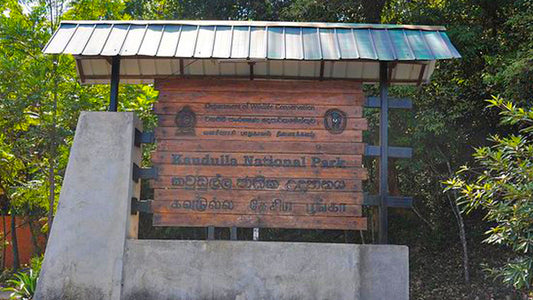 Kaudulla Milli Parkı Giriş Biletleri